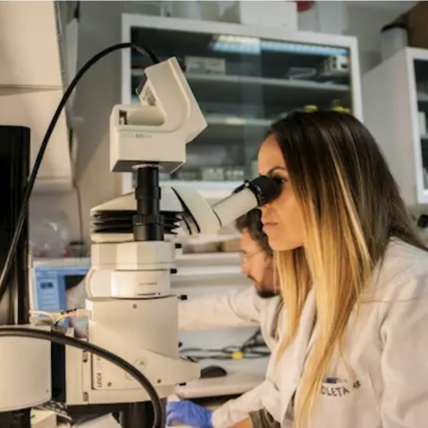 Las mujeres investigadoras contra el Covid-19. Foto: Europa Press