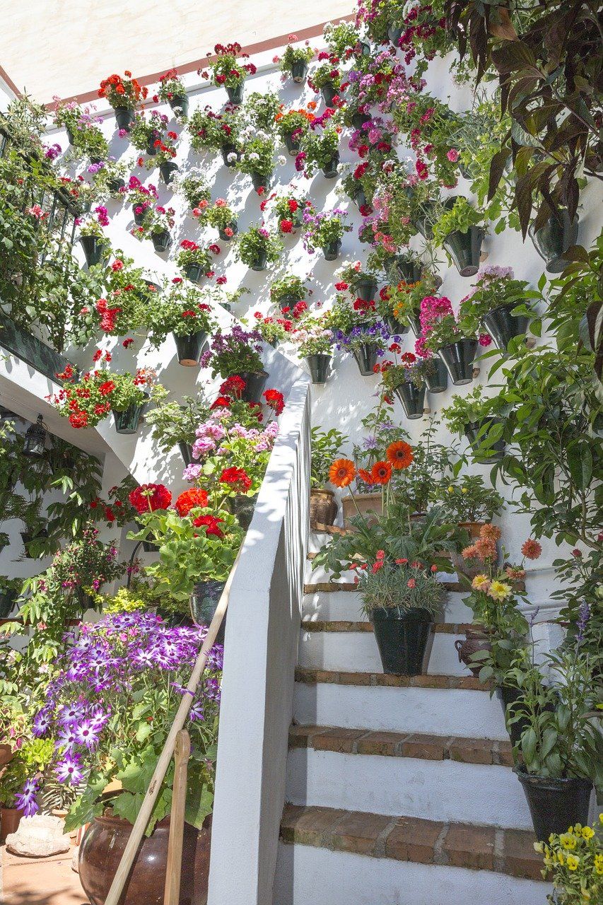 Visita los Patios de Córdoba… sin salir de casa