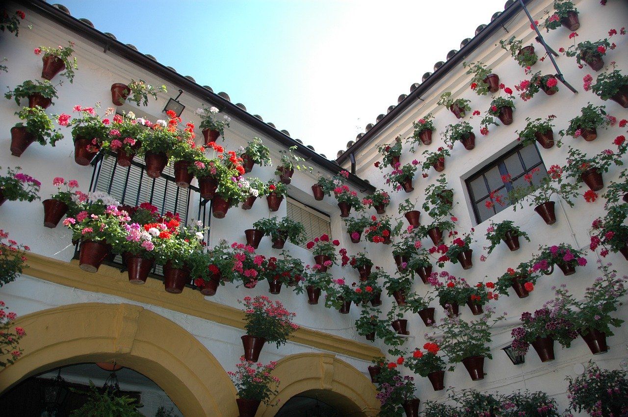 Córdoba recupera tras más de cien años los patios este Jueves Santo