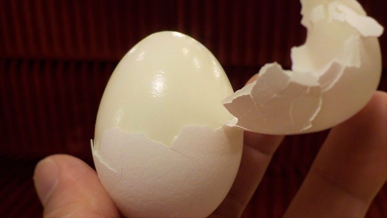 Nuevo Betterware huevo duro Extractor eggstractor Quita Cáscara De Huevos Cocidos