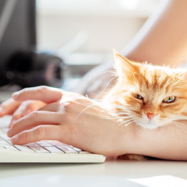 bigstock Man Is Typing At The Computer  297703294