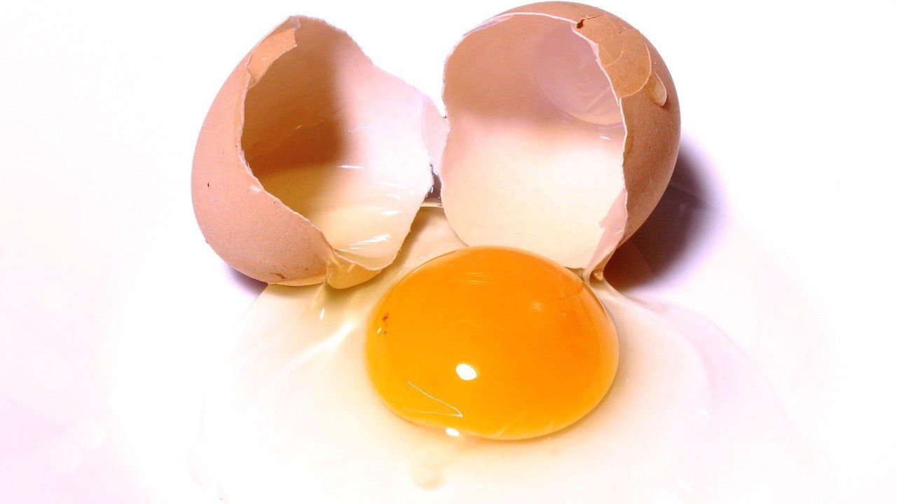 Cinco formas saludables de tomar huevos