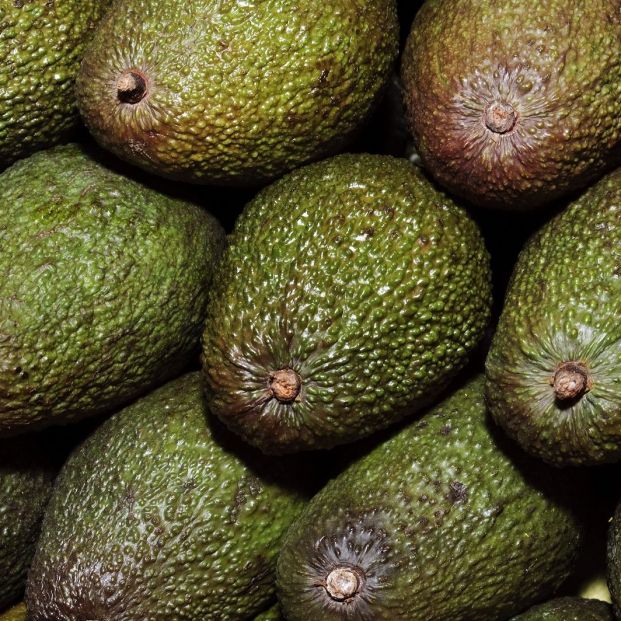 bigstock Avocados 16238261