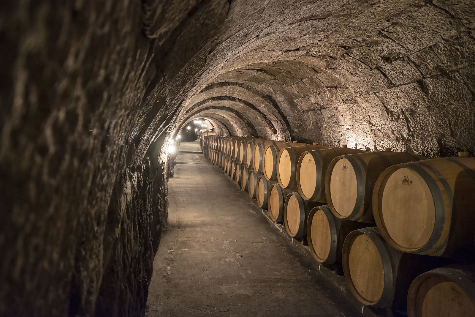 Ribera del Duero, un paseo entre viñedos y bodegas