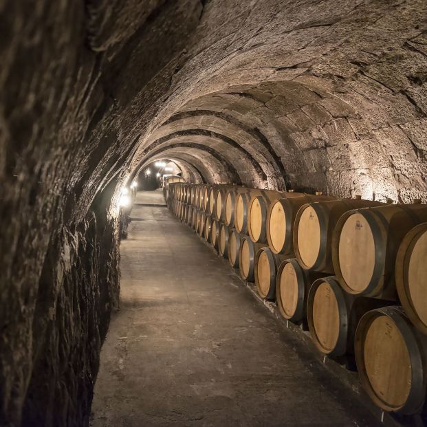 Grupo Corta vida Desafío Ribera del Duero, un paseo entre viñedos y bodegas