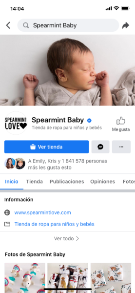 Facebook Business Page es ES