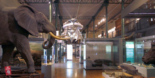 Museo Nacional de Ciencias Naturales