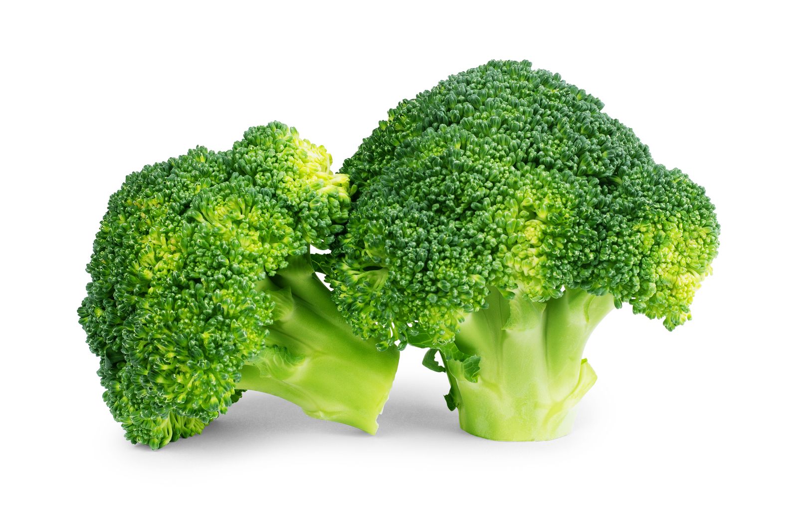 bigstock Healthy Brocoli Isolated On Wh 331572862