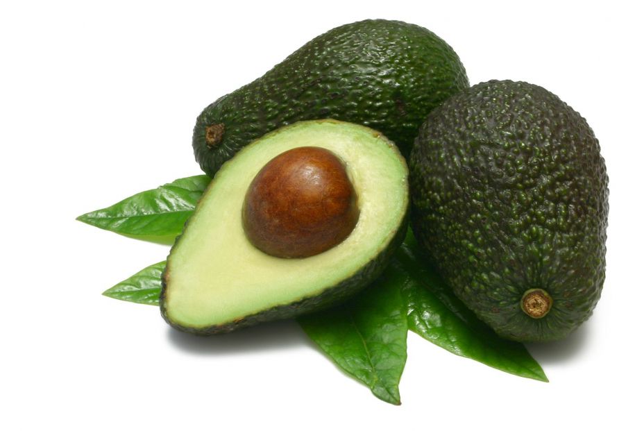 bigstock Avocado 1567304