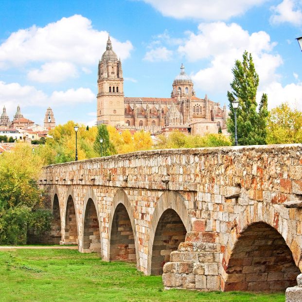 Vista de la ciudad de Salamanca (bigstock)