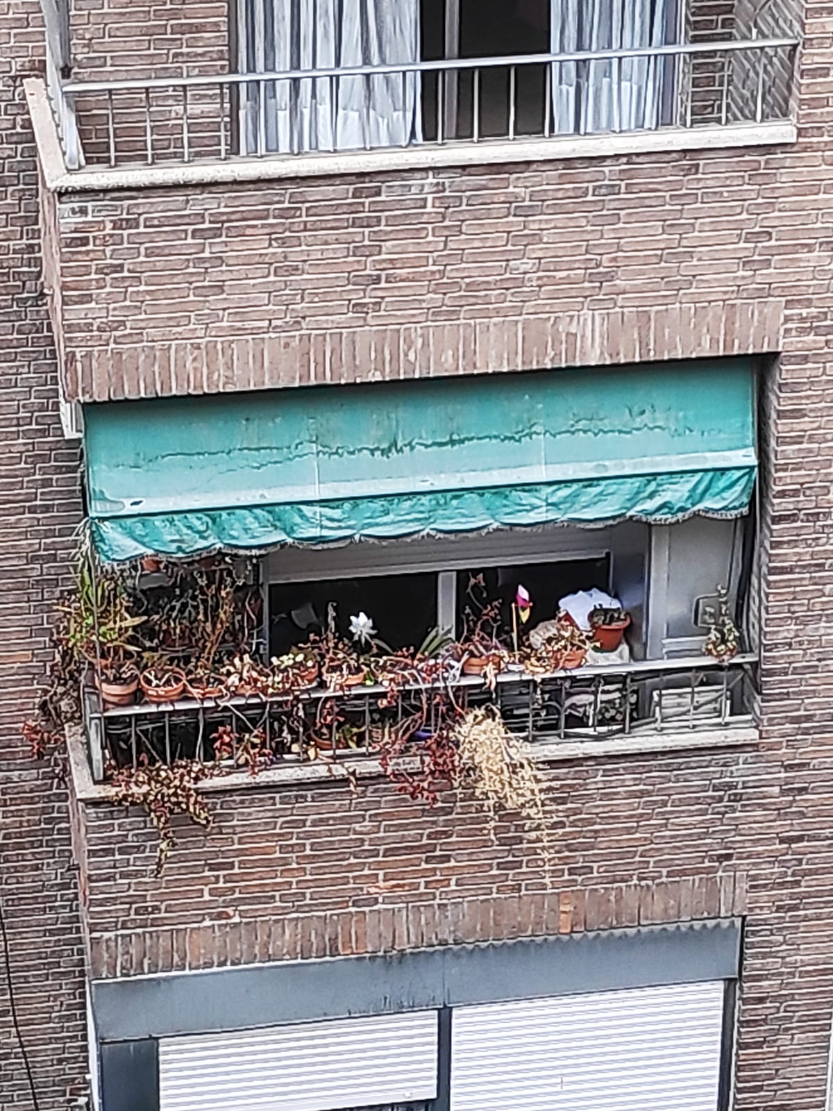 Cicatrices de una pandemia: la historia tras la foto del balcón más triste de Madrid