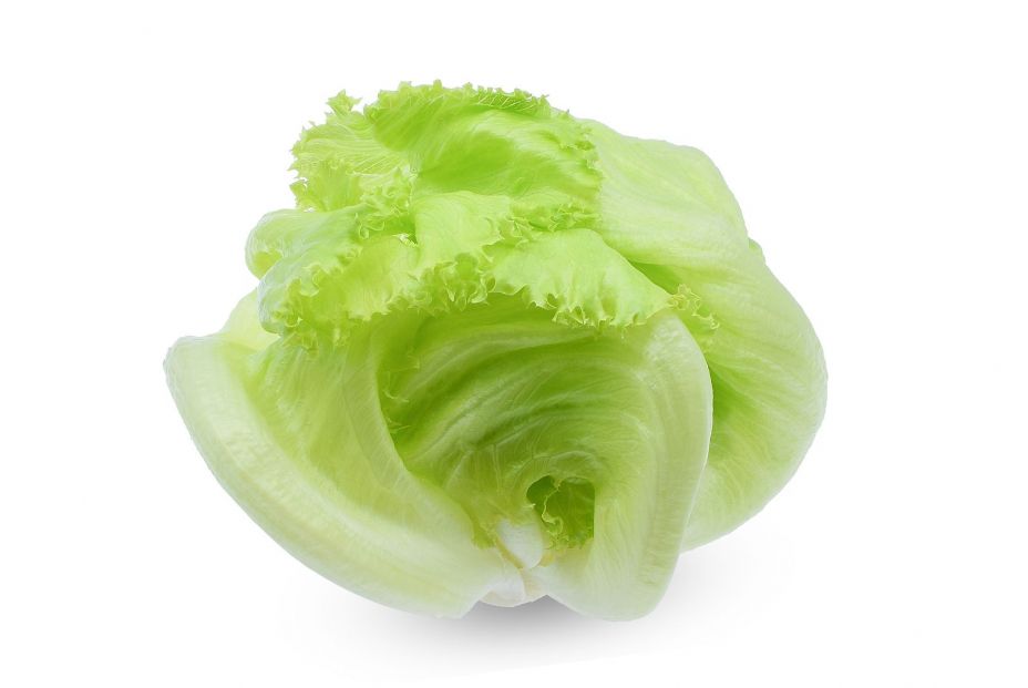 bigstock Green Iceberg Lettuce Isolated 306091168