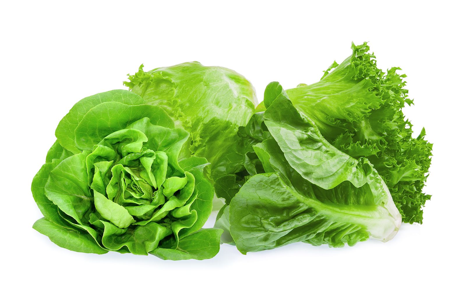 Alimentos para hidratarnos en verano de manera natural: lechuga 