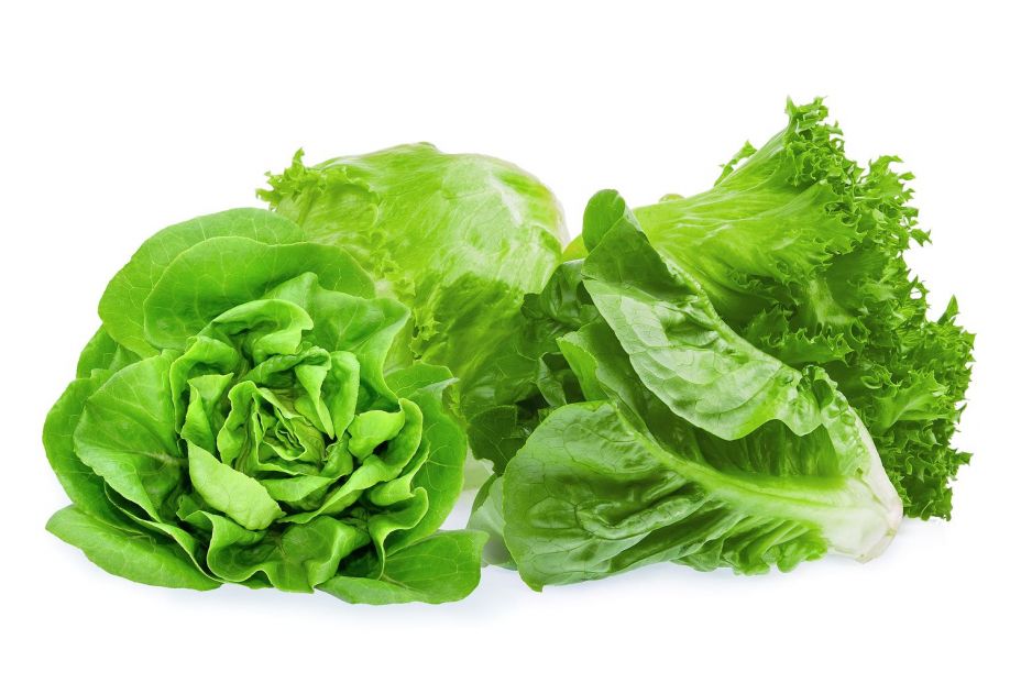 Alimentos para hidratarnos en verano de manera natural: lechuga 