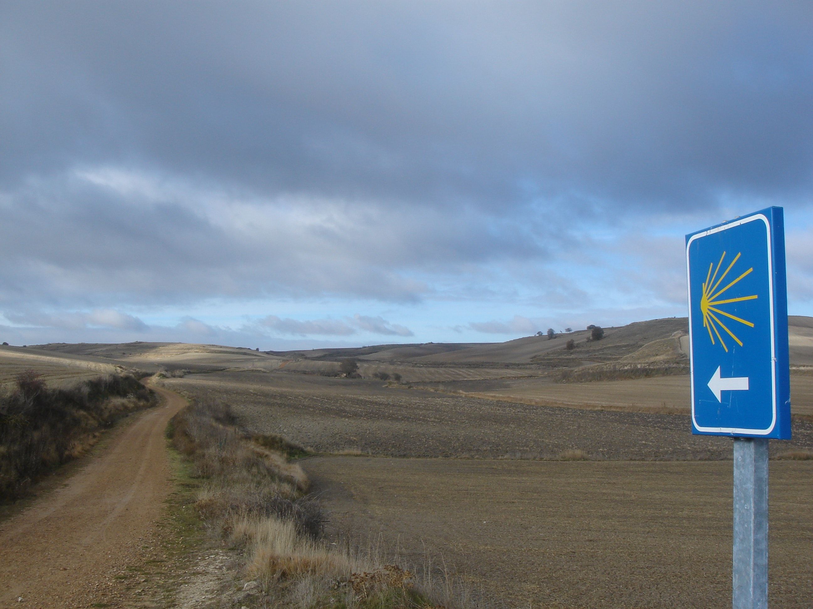 Señalización para seguir un sendero del camino (Pexels)