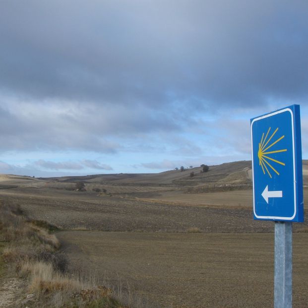 Señalización para seguir un sendero del camino (Pexels)