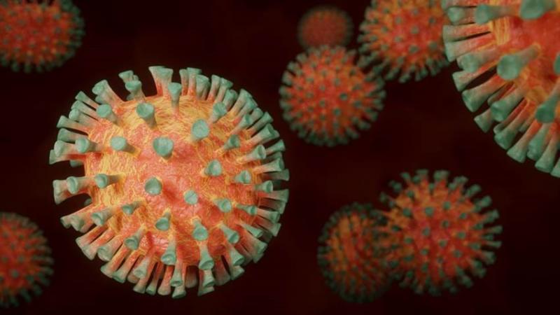 Coronavirus. Foto  CSIC