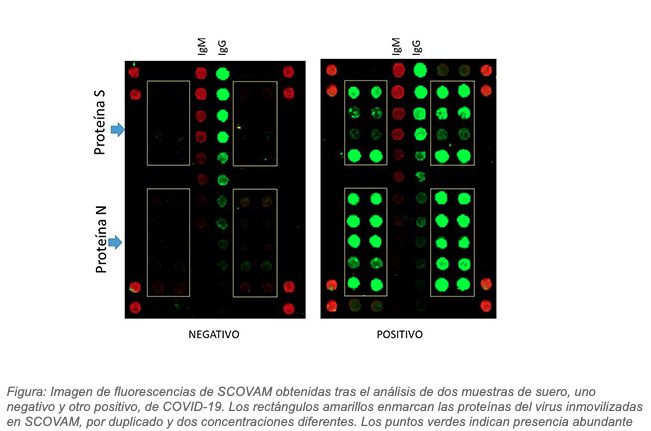 SCOVAM. Foto: CSIC SCOVAM. Foto: CSIC