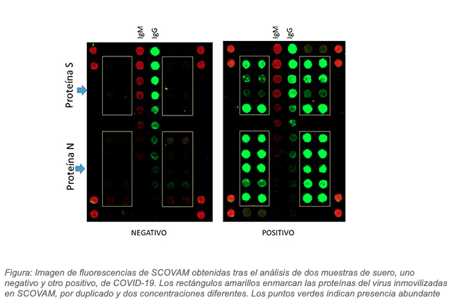 SCOVAM. Foto: CSIC