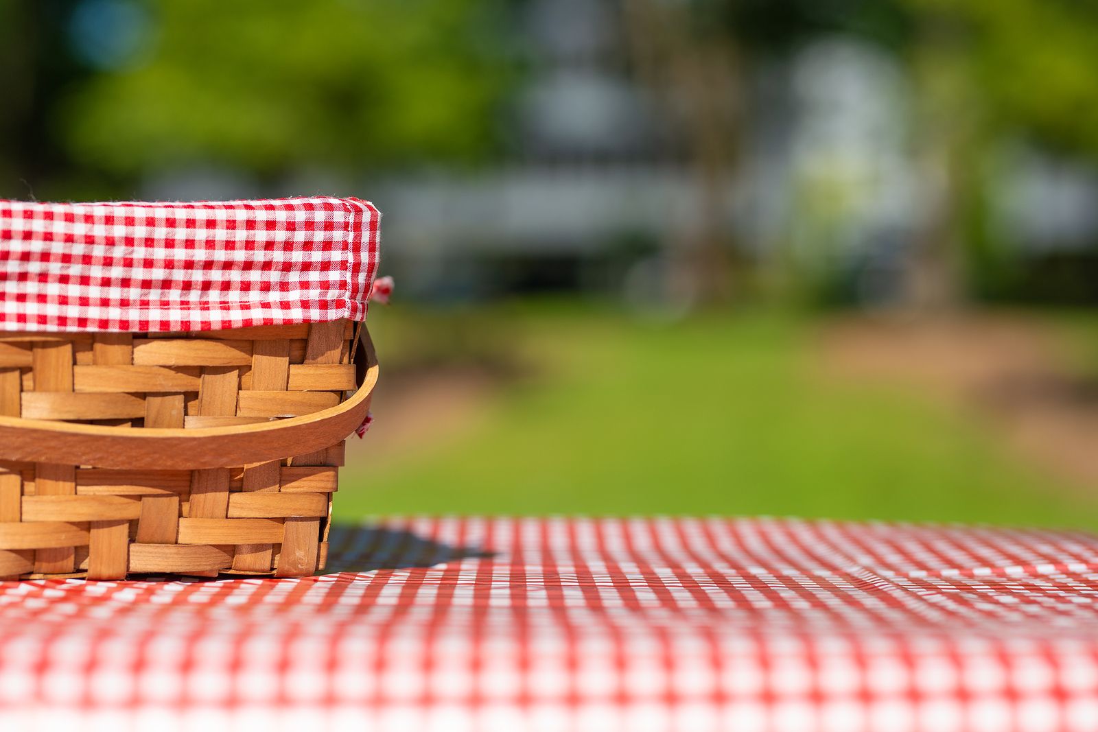 Picnic