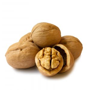 bigstock Isolated Whole Walnuts And Wal 306503206