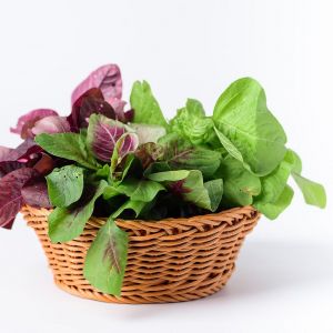 bigstock Green And Red Thai Spinach Lea 364654822