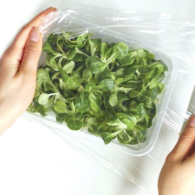 Conservar alimentos frescos Conservar alimentos frescos