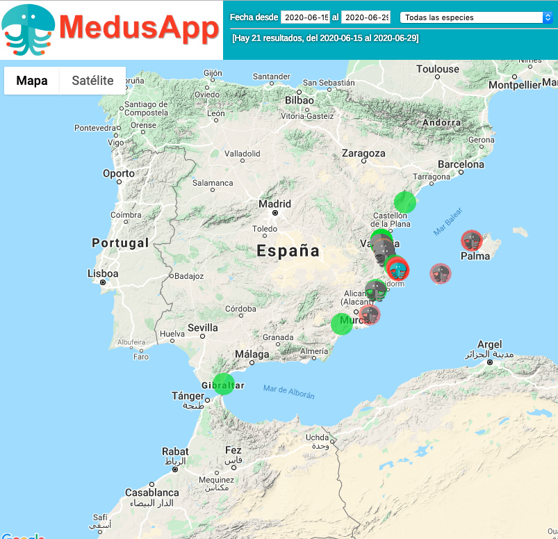 'MedusApp', la aplicación que te permite saber si hay medusas en la playa