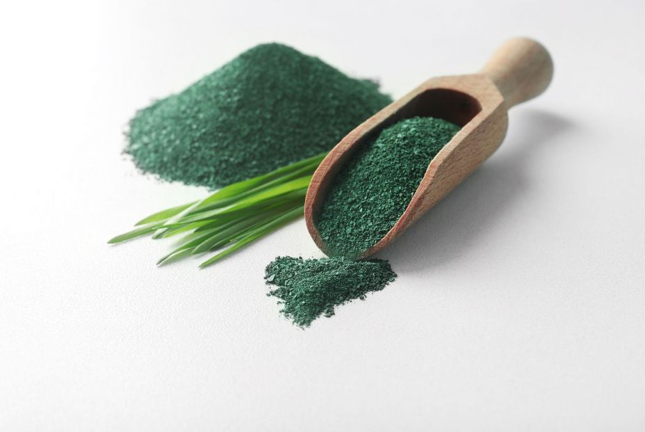 bigstock Composition With Spirulina Alg 283421329