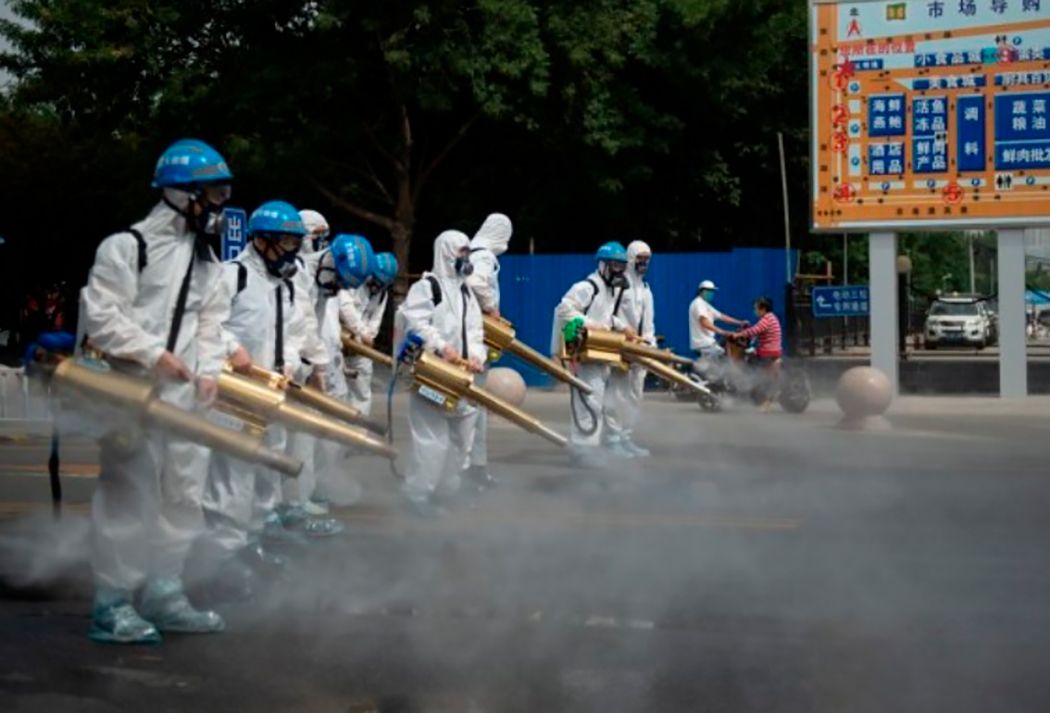 Científicos chinos advierten sobre un nuevo virus de la gripe con riesgo de pandemia 