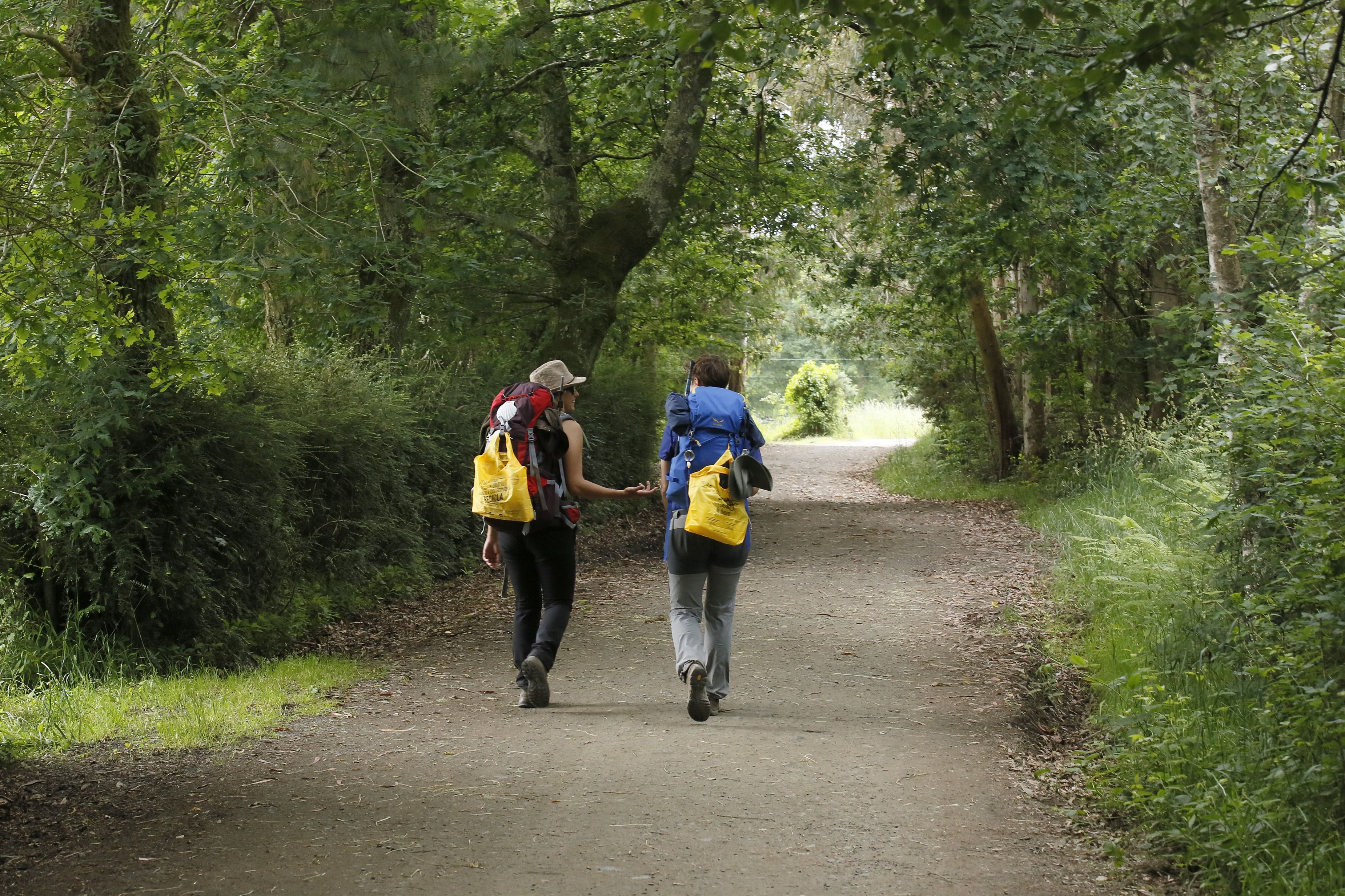 Aviso de la Guardia Civil: Toma nota si vas a hacer el Camino de Santiago Foto: Europa Press