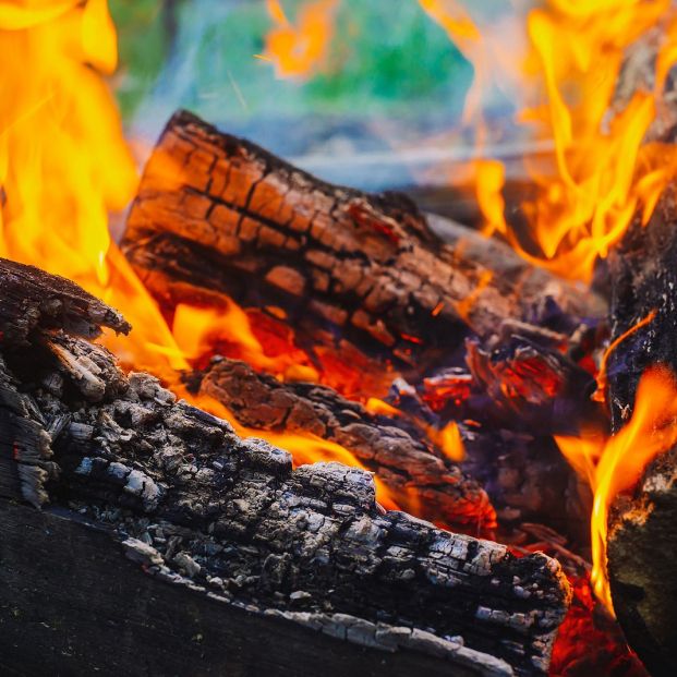 bigstock Smoldered Logs Burned In Vivid 298483846