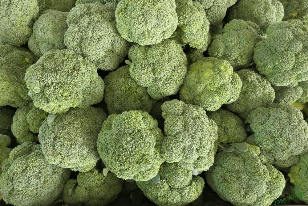 El 'boom' del brócoli: hemos multiplicado por 10 su consumo
