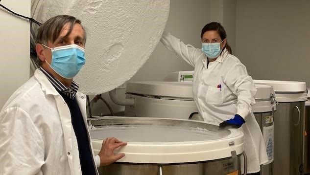 LOS PACIENTES MÁS ENFERMOS DE COVID-19 PRODUCEN CÉLULAS T QUE AYUDAN A COMBATIR EL VIRUS - Foto: Europa Press 