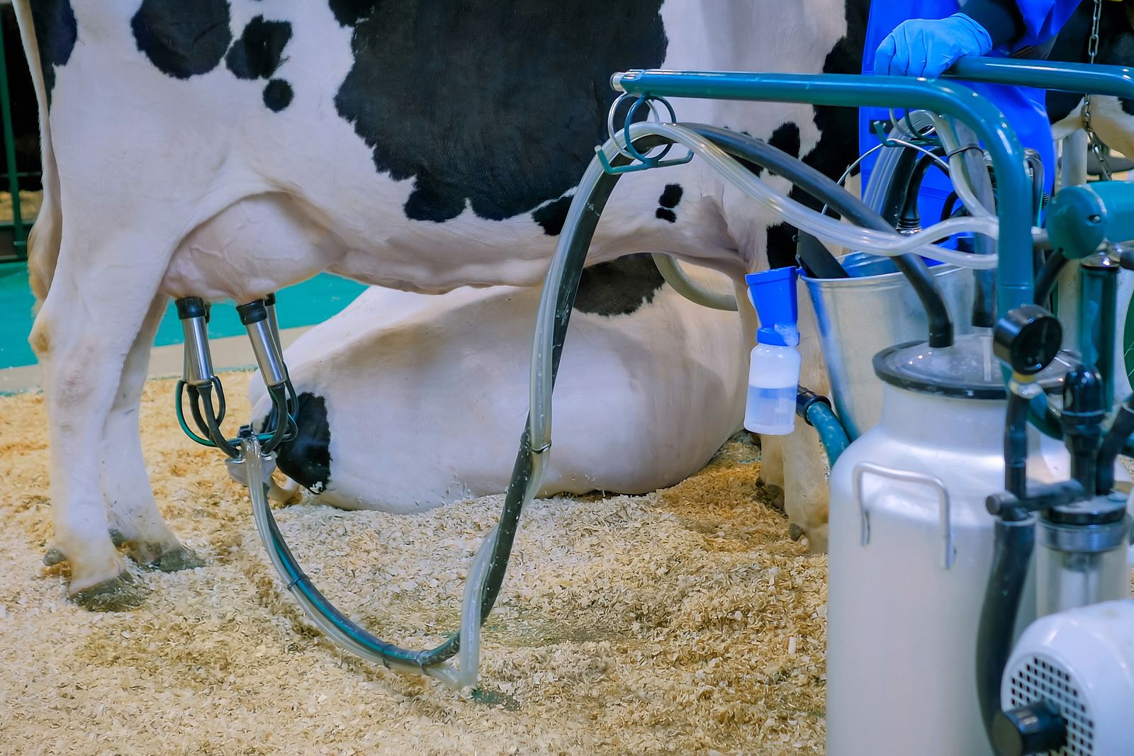 ¿Cómo se desnata la leche?