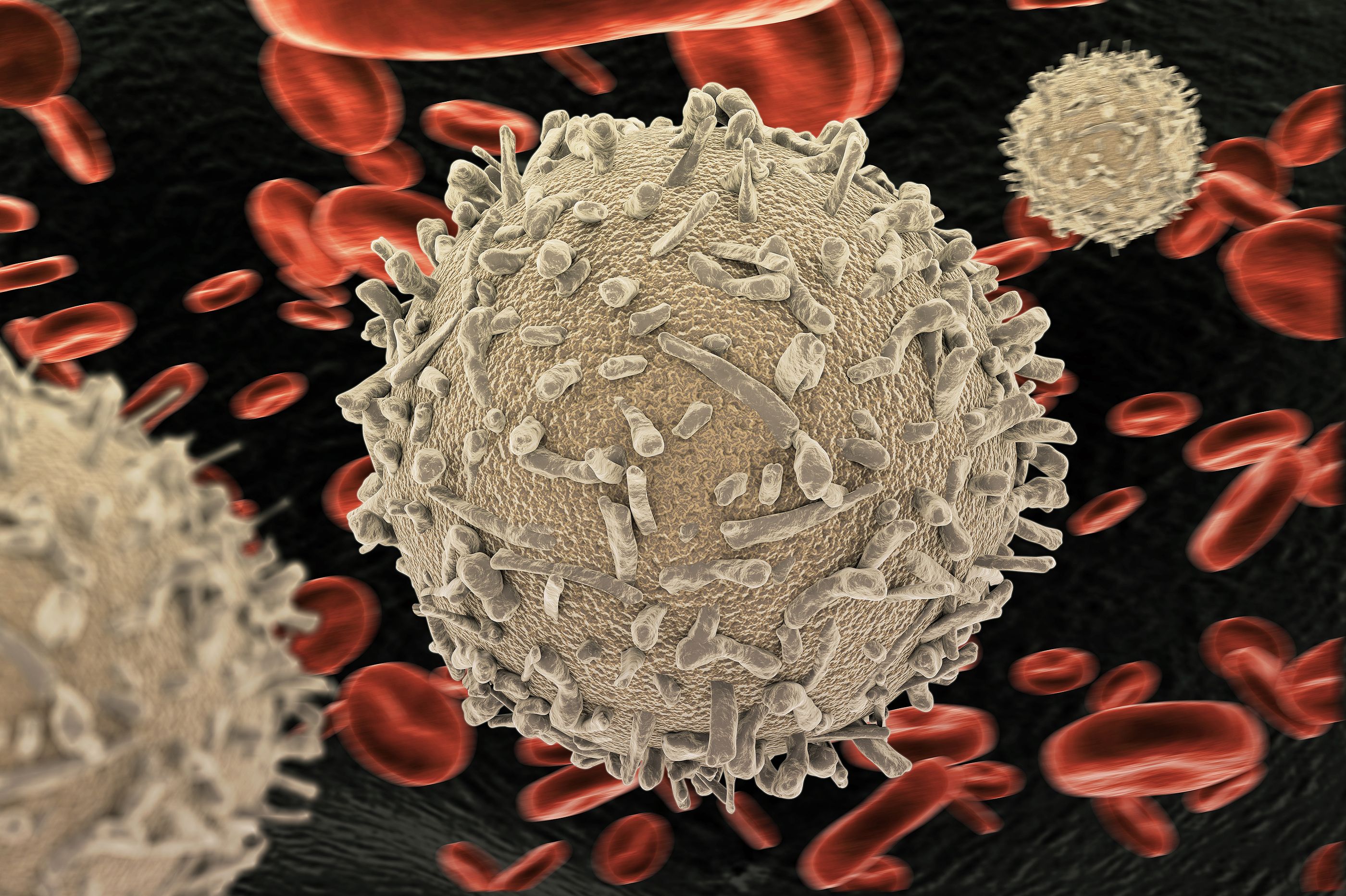 ¿Qué ocurre cuando nuestros leucocitos o glóbulos blancos están bajos? - Foto: Bigstock