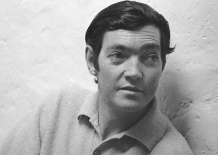 Julio Cortazar