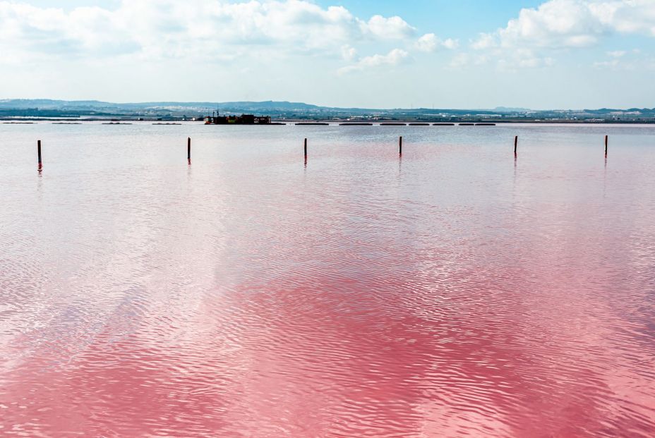 bigstock Torrevieja Pink Lake At Natur 344574853