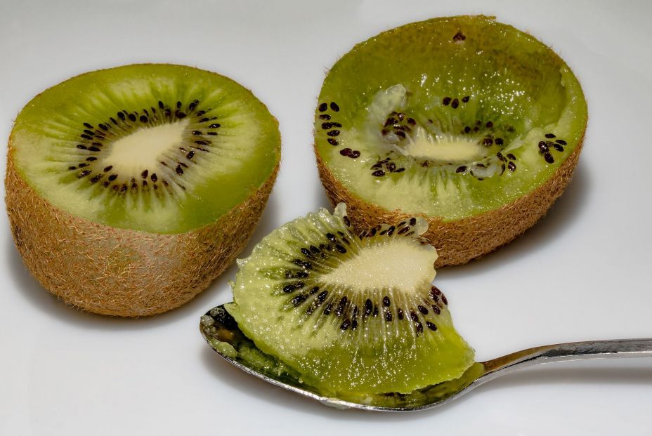 kiwi 2125383 1920