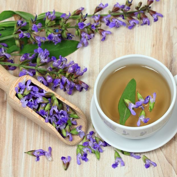 bigstock Sage Herbal Tea Salvia Offici 358681904