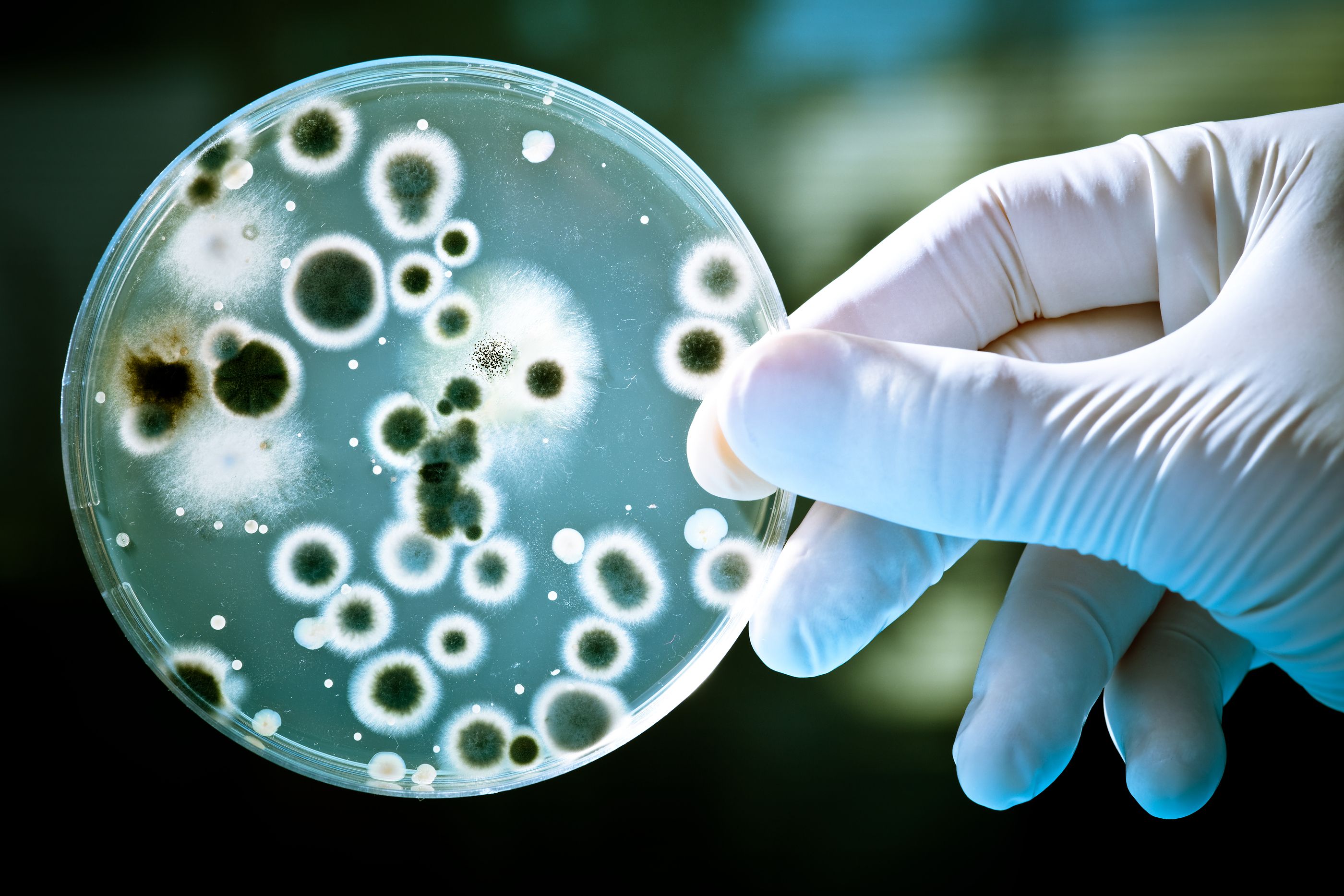 Superbacterias, la nueva amenaza