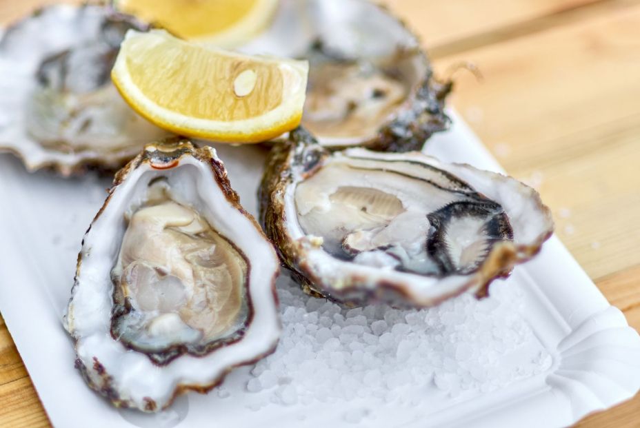 bigstock Tasty Fresh Oysters With Slice 205135924