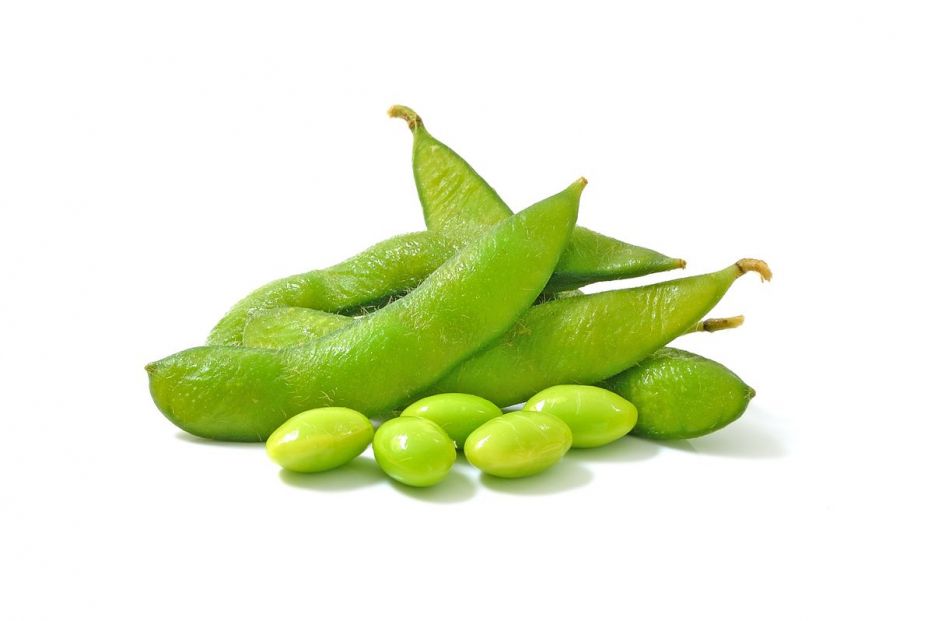 edamame 01