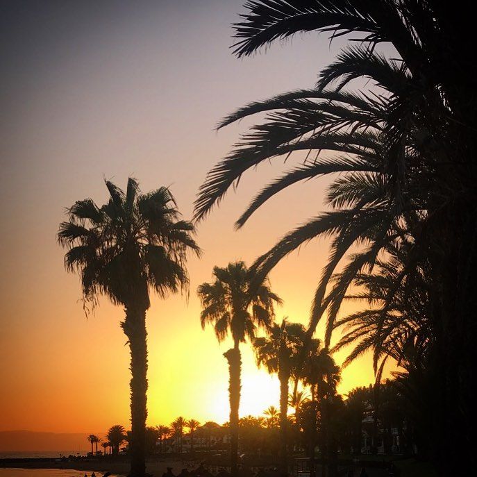 Playa de las Américas, Tenerife