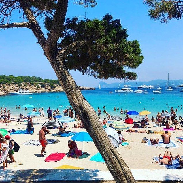 Cala Bassa, Ibiza