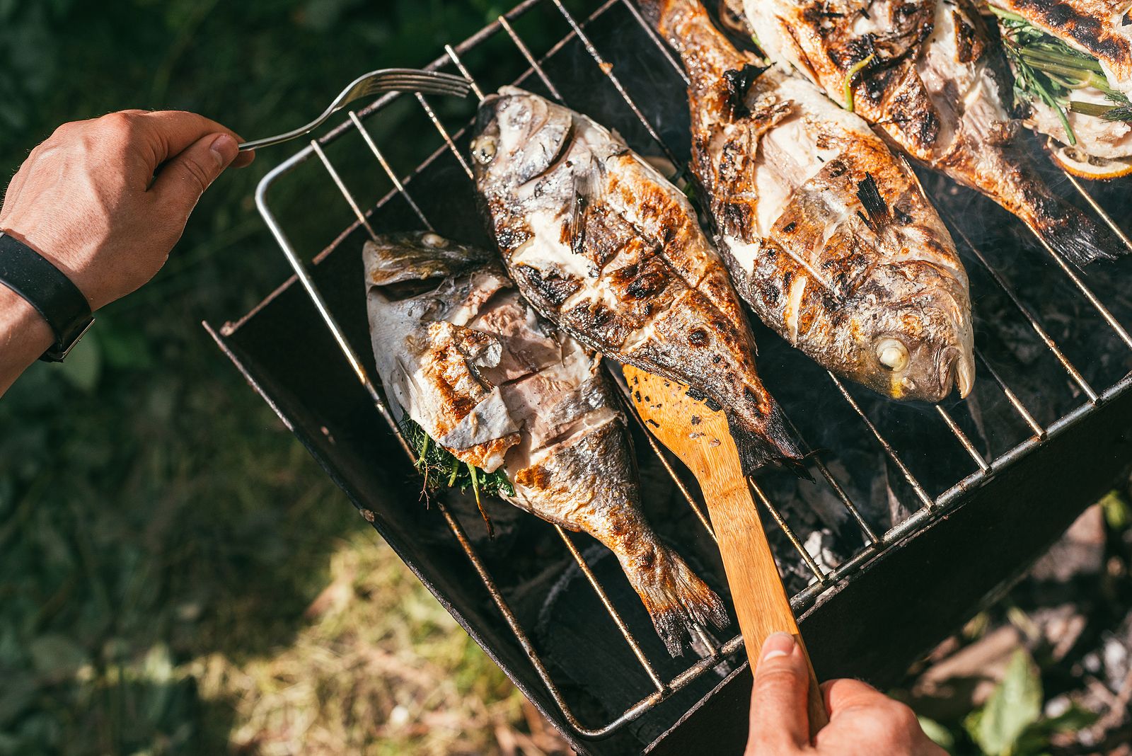 Gasto Infrarrojo Posesión Trucos para hacer pescado a la parrilla