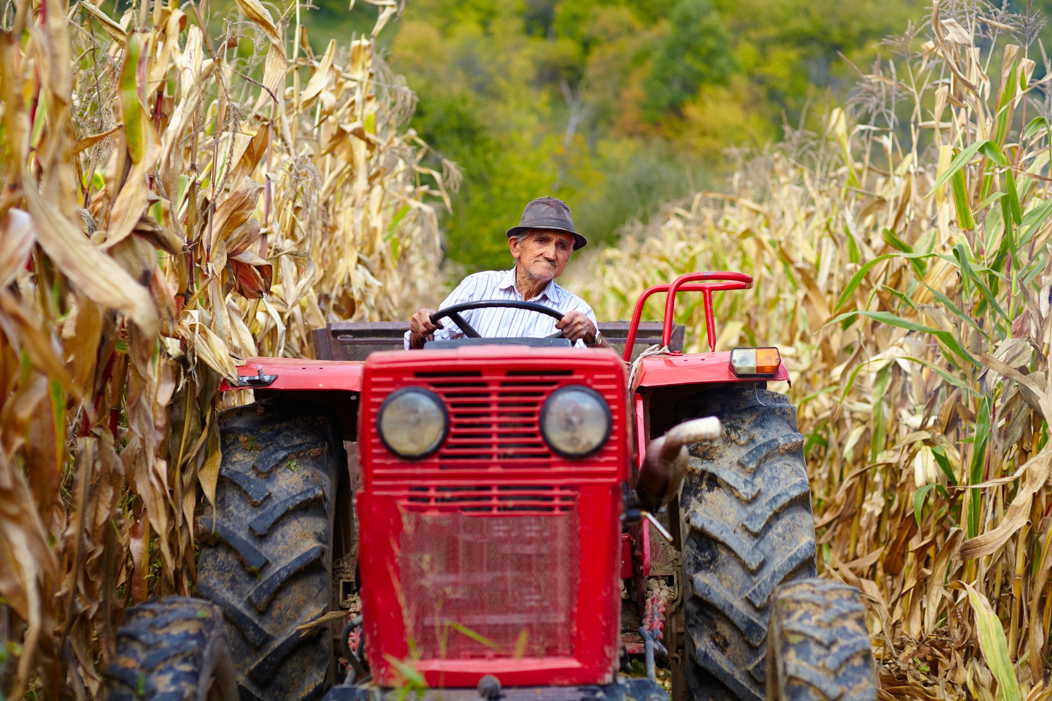 Este es el motivo por el que cada semana morirá una persona por el vuelco de un tractor