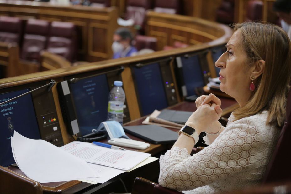 EuropaPress 3207827 vicepresidenta segunda congreso ana pastor sesion plenaria ademas debate