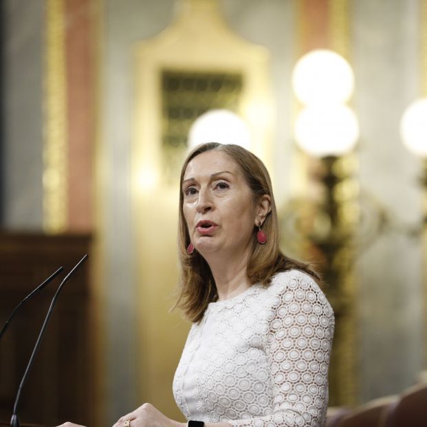 Ana Pastor: "La cifra de fallecidos por Covid facilitada por el Gobierno se ha demostrado falsa"