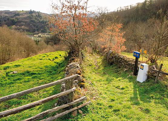 Rutas jacobeas Camino Primitivo